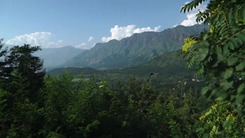 A passing bird at Dal Lake on the background of Srinagar Mountains 库存影片 285070671