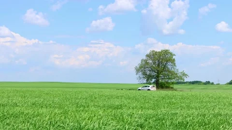 A passing car in a green field Stock Footage 196887280