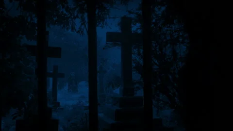 Passing Cemetery Railings At Night Stock Footage