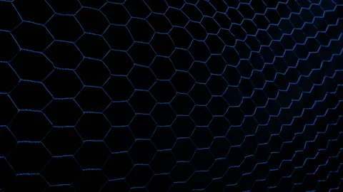 Passing Chicken Wire On Coup At Night Stock Footage 173540684