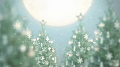 Passing Christmas Tree Stock Footage 222043343