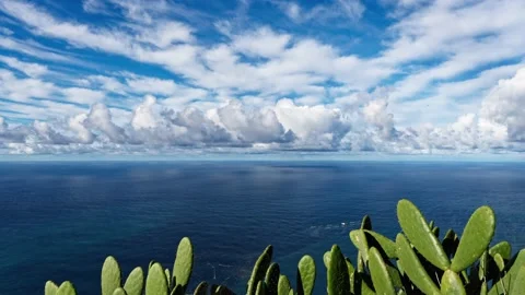 Passing clouds Stock-Footage 237994035