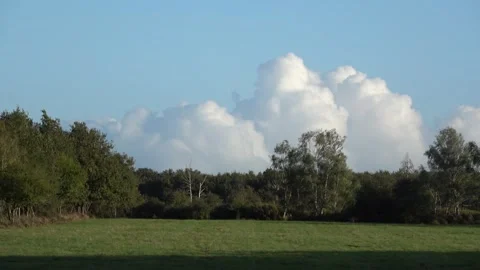Passing Clouds Stock Footage 309772455