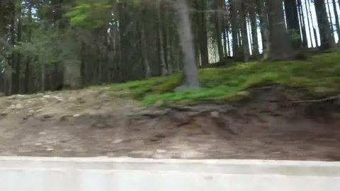 Passing by a coniferous alpine forest Stock-Footage 157593422