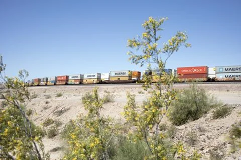 Passing container stack freight trains with flowers in foreground Stock Photos