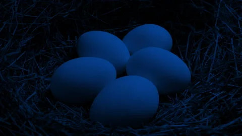 Passing Eggs In Nest At Night Stock Footage 143746178