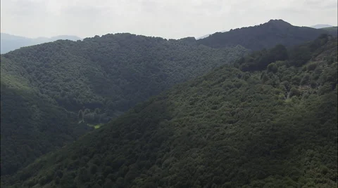 Passing Elizondo Stock Footage 65382190