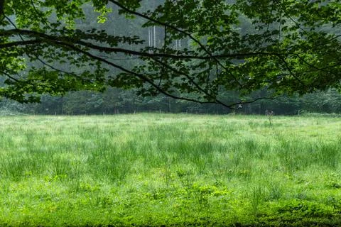 Passing The Empty Meadow Stock Photos