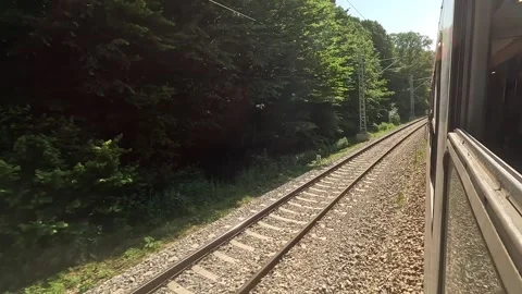 Passing A Forest With A Train Stock Footage 244247056