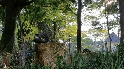 Passing of Knowledge structure Stock Footage 156306341