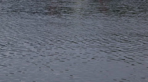 Passing motorboat Stock Footage 41272348