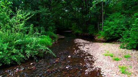 Passing over forest stream 4K 库存影片 158078335