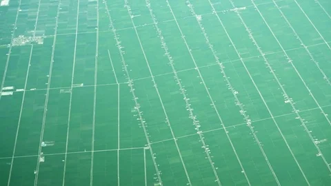 Passing over Huge, Modern Agricultural Fields near Kuala Lumpur Stock Footage
