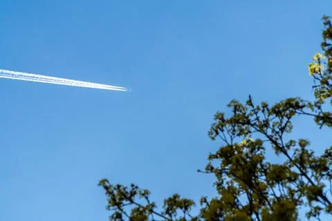Passing Over Spring Trees 写真素材