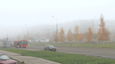 Passing a part with a bus stop Stock Footage 8974758