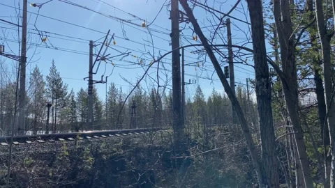 Passing passenger electric train. Train in the forest. 4K Stock Footage 131170094