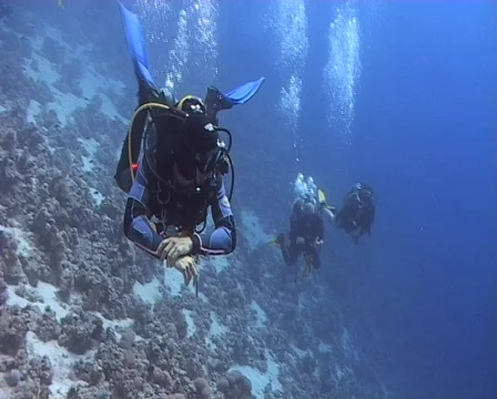 Passing shot of scuba divers Vidéo 576553