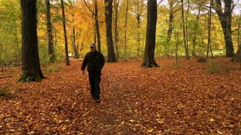 Passing slowly through the fallen autumn leaves Stock Footage 142094310