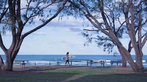 Passing Surfer 8k Stock Footage 237485355