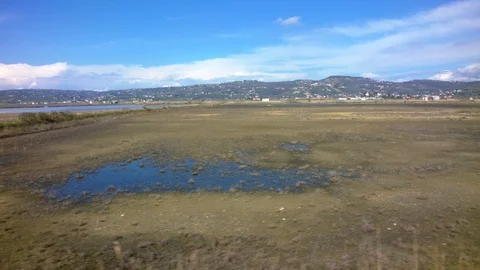 Passing by a swampy area Video stock 93491842