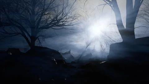 Passing through a dark misty forest. Looped video. Stock-Footage 265580369