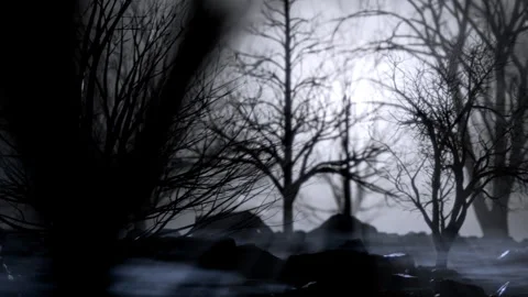 Passing through a dark misty forest. Looped video. Stock Footage 265665756
