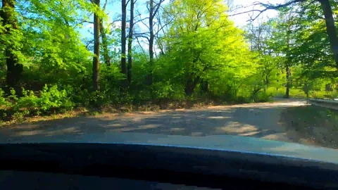 Passing through Forest by Car to the City - Time Lapse 4k Stock Footage 129052754
