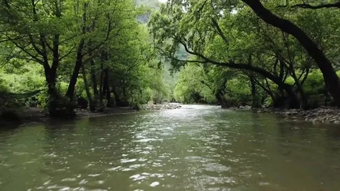 Passing through a forest river Vidéo 132736639