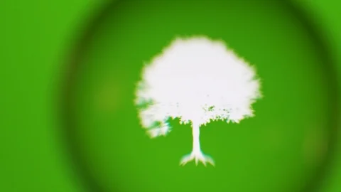 Passing Through A Glass Ball While We Read Terms About Nature On Computer Stock Footage 122575563