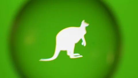 Passing Through A Glass Ball While We Read Terms About Nature On Computer Stock Footage 122575577