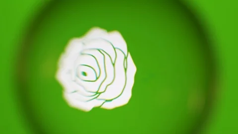 Passing Through A Glass Ball While We Read Terms About Nature On Computer Stock Footage 122575590