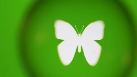 Passing Through A Glass Ball While We Read Terms About Nature On Computer Stock Footage 122575629