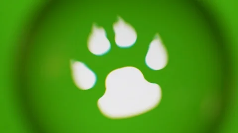 Passing Through A Glass Ball While We Read Terms About Nature On Computer Stock Footage 122575644