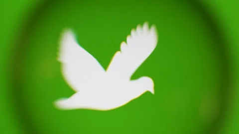 Passing Through A Glass Ball While We Read Terms About Nature On Computer Stock Footage 122575646