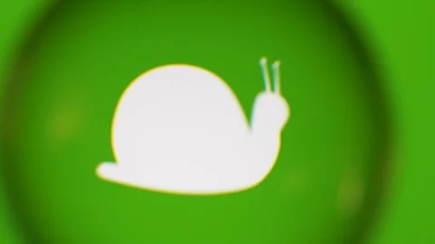 Passing Through A Glass Ball While We Read Terms About Nature On Computer Stock Footage 122575657