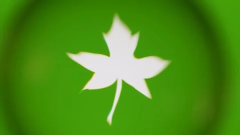 Passing Through A Glass Ball While We Read Terms About Nature On Computer Stock Footage 122575661