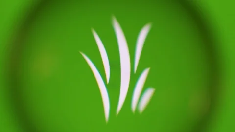 Passing Through A Glass Ball While We Read Terms About Nature On Computer Stock Footage 122575684