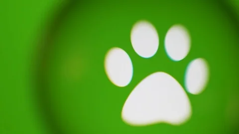 Passing Through A Glass Ball While We Read Terms About Nature On Computer Stock Footage 122575688