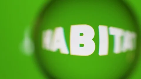 Passing Through A Glass Ball While We Read Terms About Nature On Computer Stock Footage 122575984