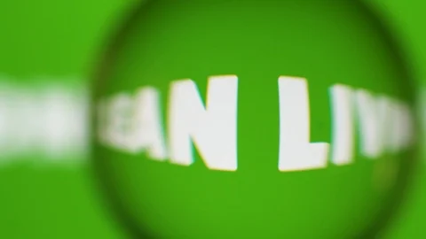 Passing Through A Glass Ball While We Read Terms About Nature On Computer Stock Footage 122575991