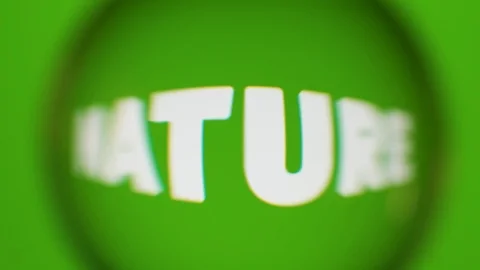 Passing Through A Glass Ball While We Read Terms About Nature On Computer Stock Footage 122576056