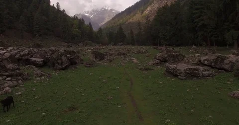 Passing Through a Rocky Field Stock Footage 80954087