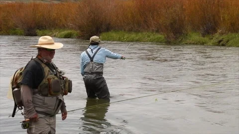Passing the torch Stock Footage 133194247