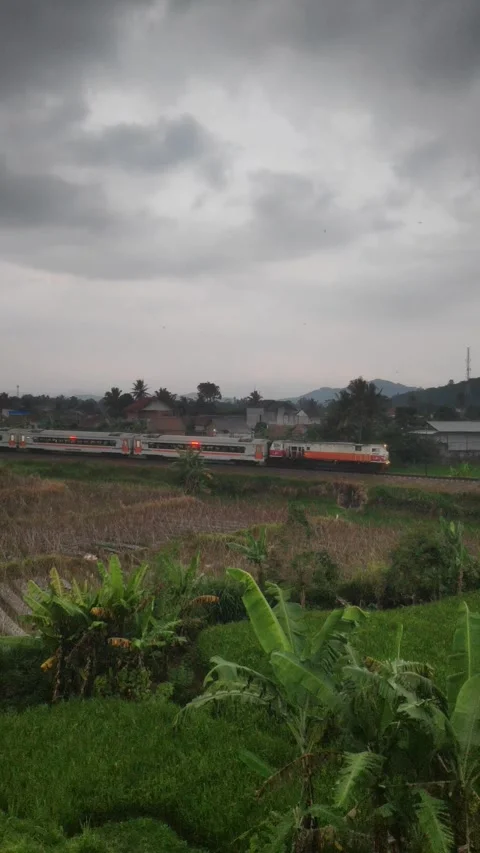 Passing train portrait Stock-Footage 242679804