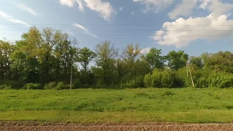 Passing by the train trees on the middle plan Stock Footage 75940949