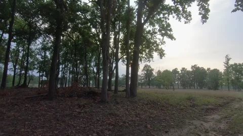 Passing by the trees and the grasslands of the beautiful Kanha national Park Stock Footage 277977331