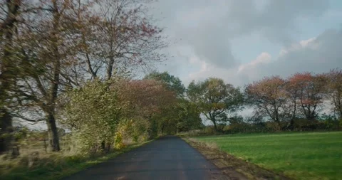 Passing by Trees Moving from Wind in The Autumn Countryside of Sweden, Stock Footage 170582409