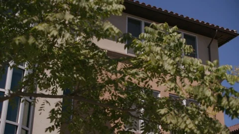 Passing by trees in slow motion 1 Stock Footage 103869309