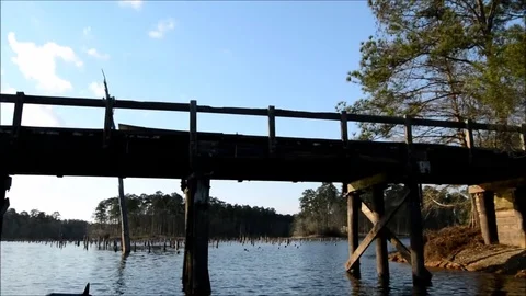 Passing under a bridge on the bayou Stock Footage 76228075