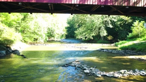 Passing Under a Covered Bridge Video stock 243912288